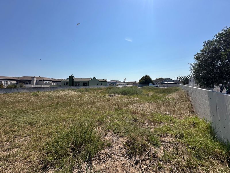 A vacant residential plot featuring natural vegetation and enclosed by perimeter boundary walls, situated within an established residential neighborhood.