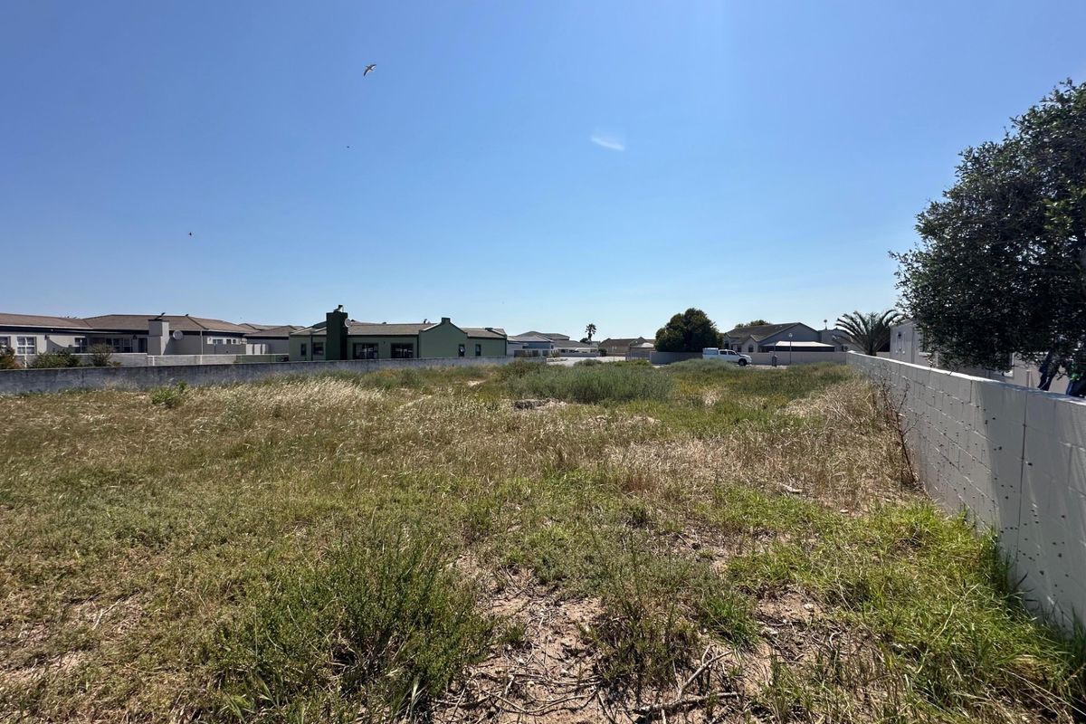A vacant residential plot featuring natural vegetation and enclosed by perimeter boundary walls, situated within an established residential neighborhood.