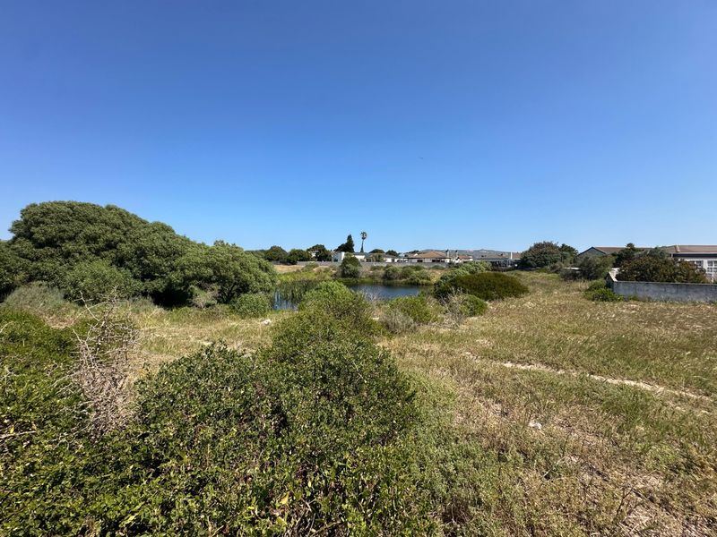 A scenic view of a natural pond surrounded by indigenous vegetation on a vacant residential plot.