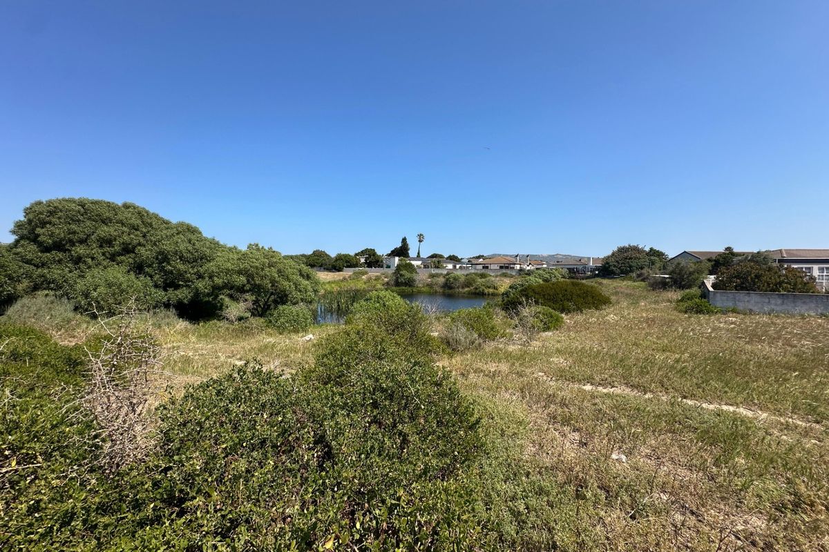 A scenic view of a natural pond surrounded by indigenous vegetation on a vacant residential plot.