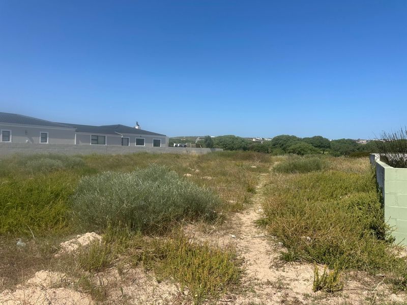 A vacant residential plot featuring natural vegetation and existing boundary walls, offering a clear space for future development.