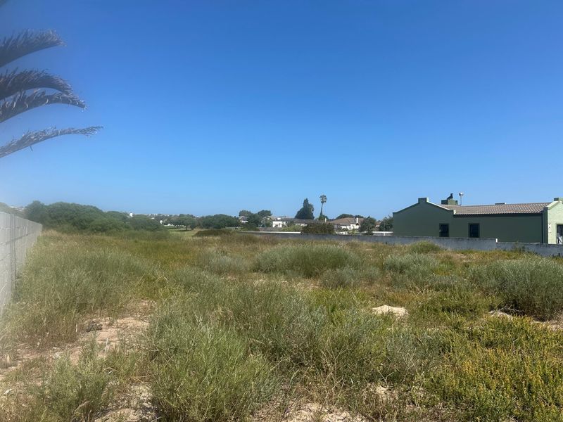 A view of a vacant residential plot featuring natural vegetation and boundary walls, situated in a developed neighborhood.
