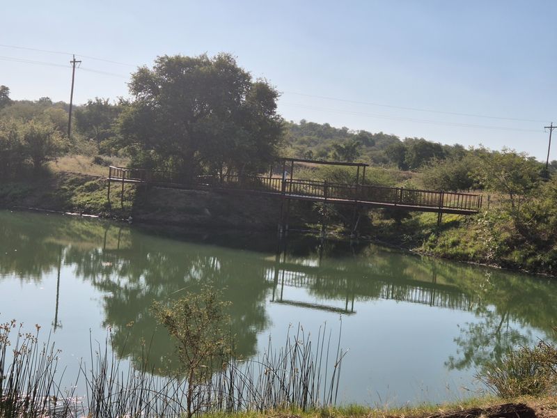 A scenic view of a natural pond featuring a wooden deck structure along the bank, surrounded by native vegetation and trees.