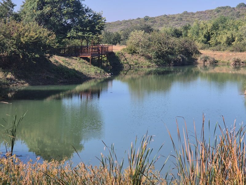A scenic view of a natural pond featuring a wooden viewing deck nestled among mature trees and lush landscape.