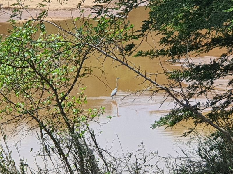 A scenic view of a natural water body framed by mature trees, showcasing the tranquil landscape of the property.