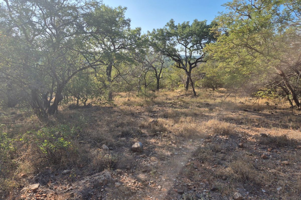 A view of the natural, undeveloped landscape featuring mature trees and native vegetation on the residential plot.