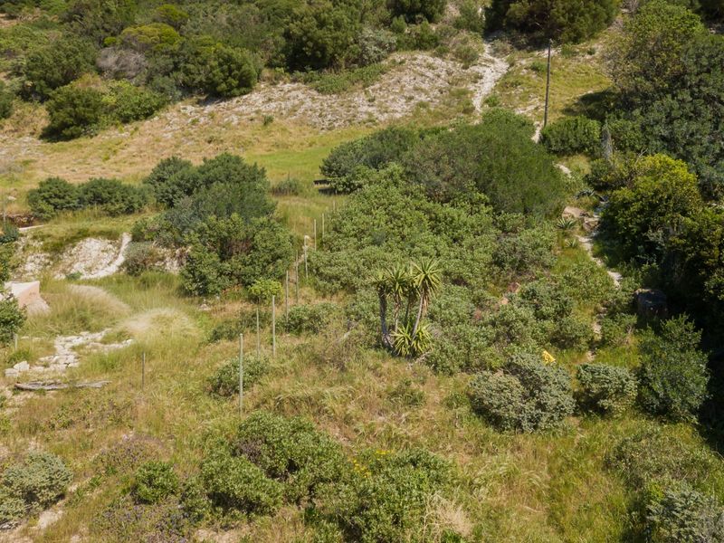 An aerial view of a vacant residential plot featuring natural vegetation, established shrubs, and perimeter fencing.