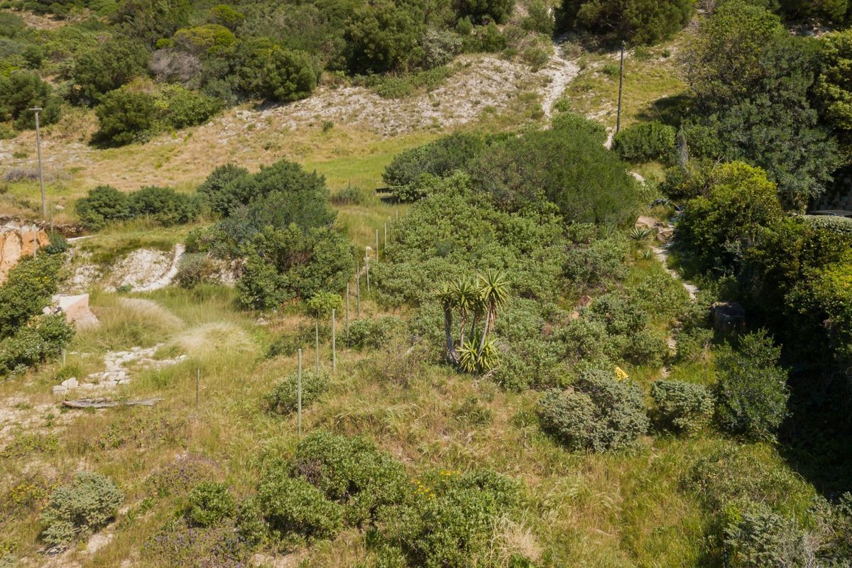 An aerial view of a vacant residential plot featuring natural vegetation, established shrubs, and perimeter fencing.
