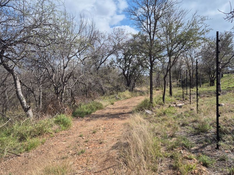 A view of a natural, undeveloped residential plot featuring a dirt track and perimeter electric fencing.