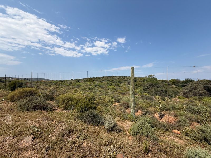 A view of the farm landscape featuring wire mesh perimeter fencing with timber posts, set against a natural bushveld backdrop.