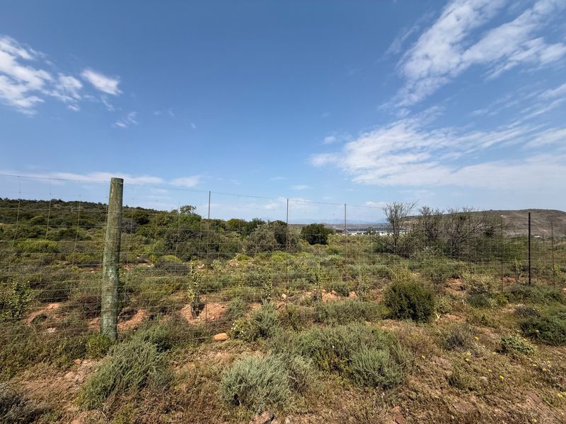 A wide-angle view of the farm landscape featuring natural vegetation and perimeter wire mesh fencing under a clear blue sky.