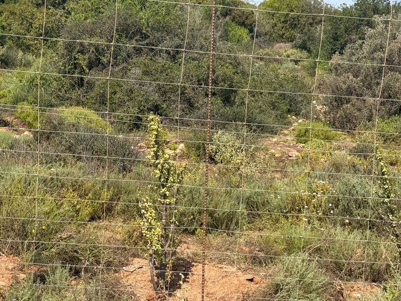A view of the farm landscape featuring natural vegetation and established wire mesh perimeter fencing.