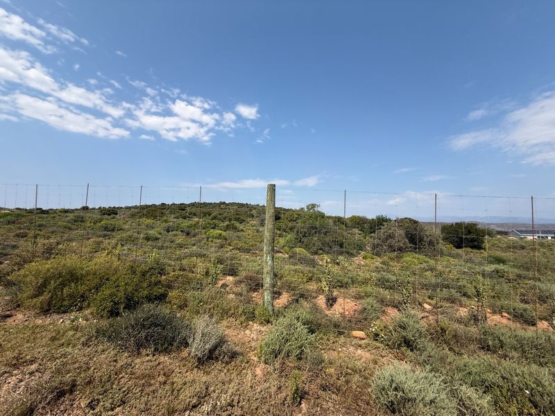 A wide-angle view of the farm landscape featuring natural vegetation and perimeter wire mesh fencing with wooden support posts.