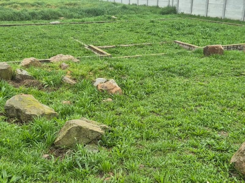 Vacant residential land plot featuring a concrete foundation slab and enclosed by precast concrete boundary walls, currently covered in overgrown grass.