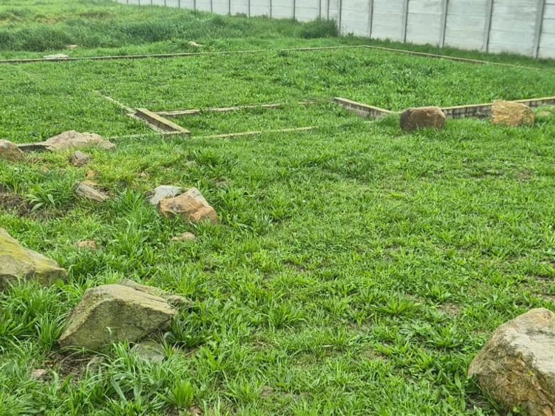A vacant residential plot featuring a concrete boundary wall and an existing foundation slab, surrounded by overgrown grass and natural rock features.