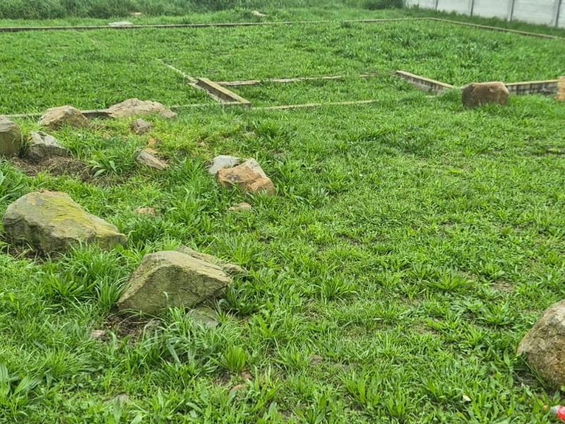 A vacant residential plot featuring established concrete boundary walls and visible foundation footings, surrounded by overgrown grass and natural rock features.