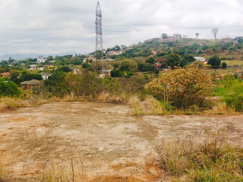 An elevated view overlooking a residential landscape with natural vegetation and visible power infrastructure.