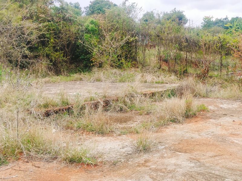 Vacant residential land featuring an existing concrete slab foundation surrounded by overgrown vegetation and natural landscape.