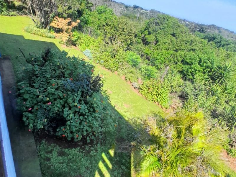 An elevated view overlooking a lush, green garden with mature trees and well-maintained lawn areas.