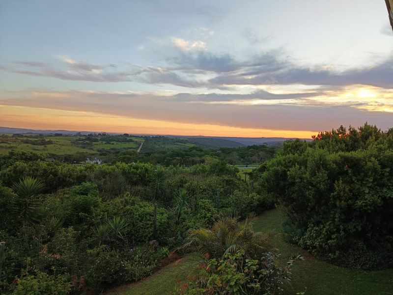 WHERE THE VIEWS STEAL THE SHOW - HOUSE FOR SALE IN BATHURST - Photo 3