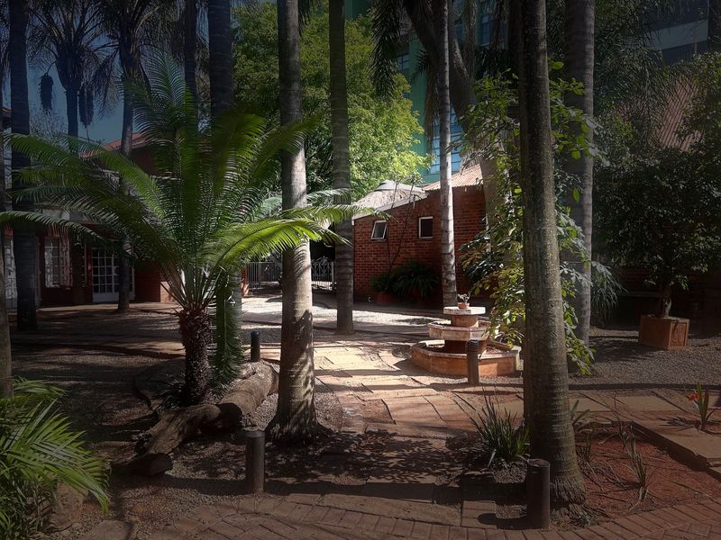 A tranquil garden courtyard featuring mature palm trees, a stone fountain, and paved walkways leading to a brick commercial building.