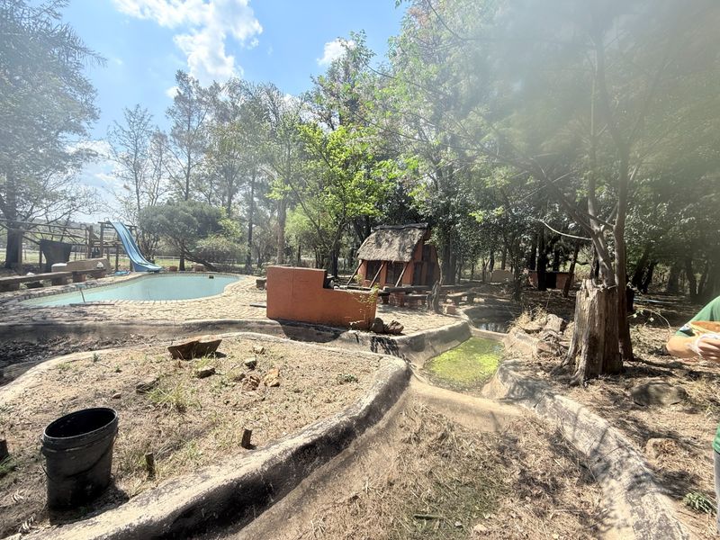 Outdoor pool area featuring a swimming pool with slide, a thatched lapa, and a built-in braai, set within a heavily wooded and overgrown garden.
