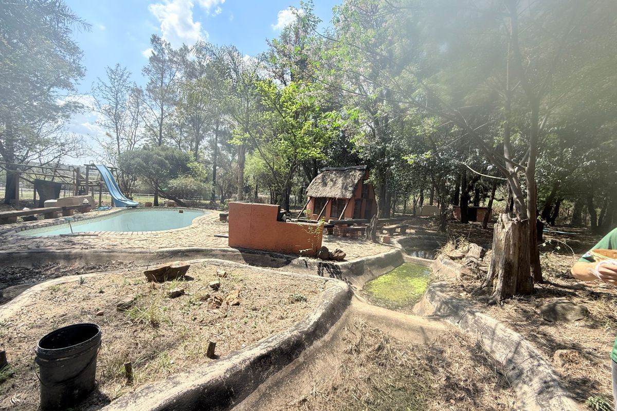 Outdoor pool area featuring a swimming pool with slide, a thatched lapa, and a built-in braai, set within a heavily wooded and overgrown garden.