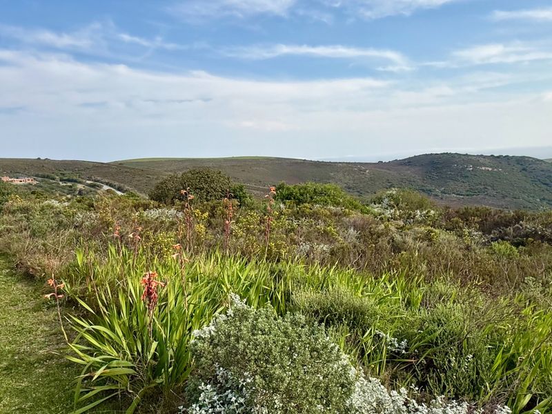 A scenic view of the natural landscape featuring rolling hills and native vegetation, showcasing the property's tranquil surroundings.