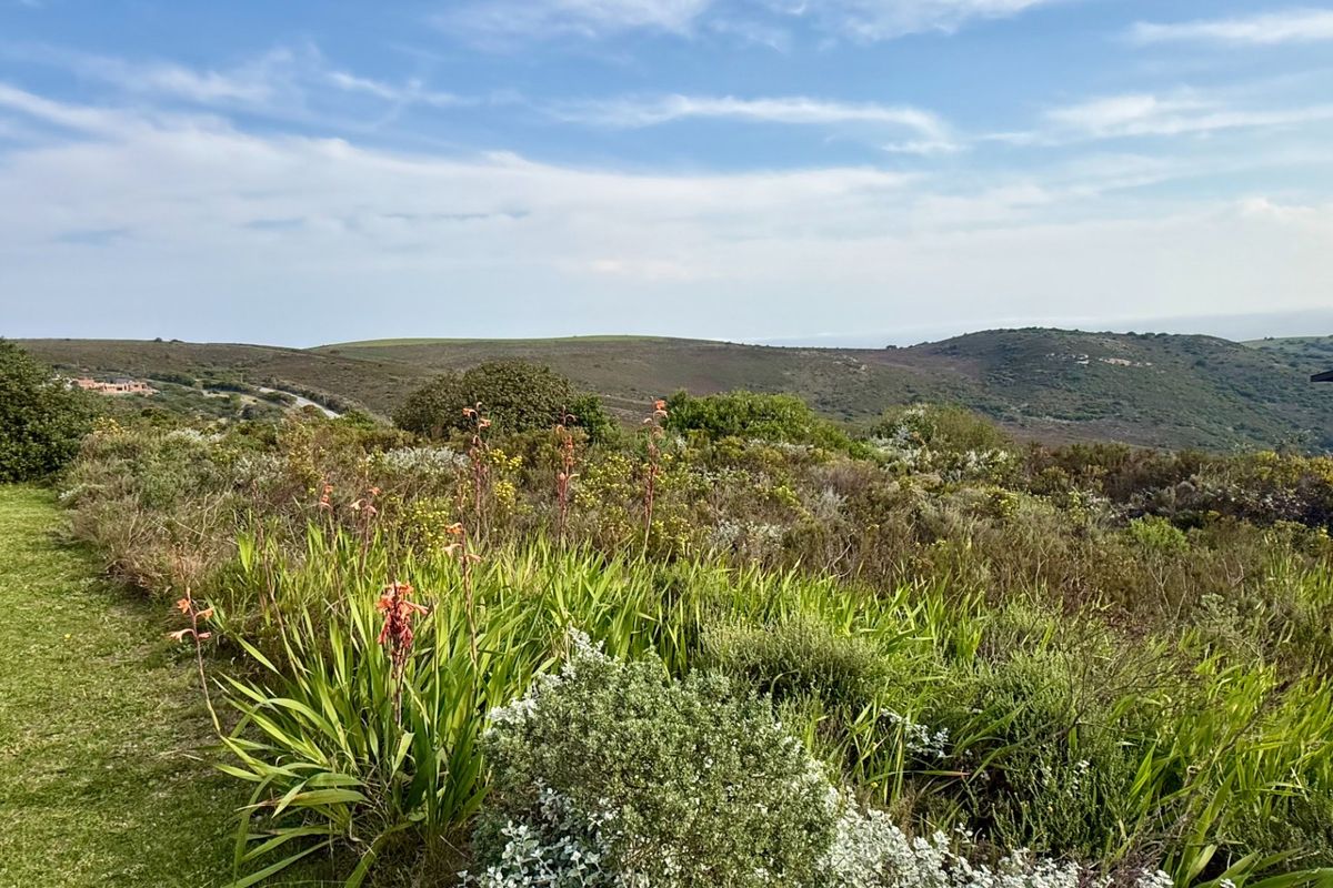A scenic view of the natural landscape featuring rolling hills and native vegetation, showcasing the property's tranquil surroundings.