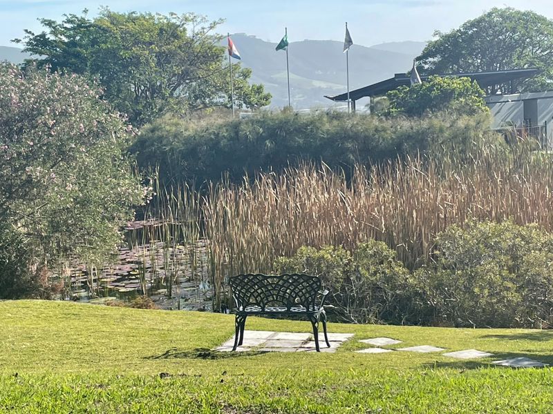 A serene garden setting featuring a natural pond, manicured lawn, and stone paving, offering a peaceful outdoor space with scenic landscape views.