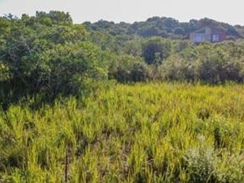 Vacant Land For Sale in Newton Park, Port Elizabeth - Photo 3