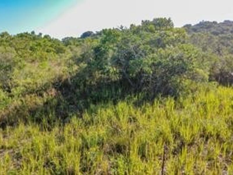 Vacant Land For Sale in Newton Park, Port Elizabeth - Photo 4