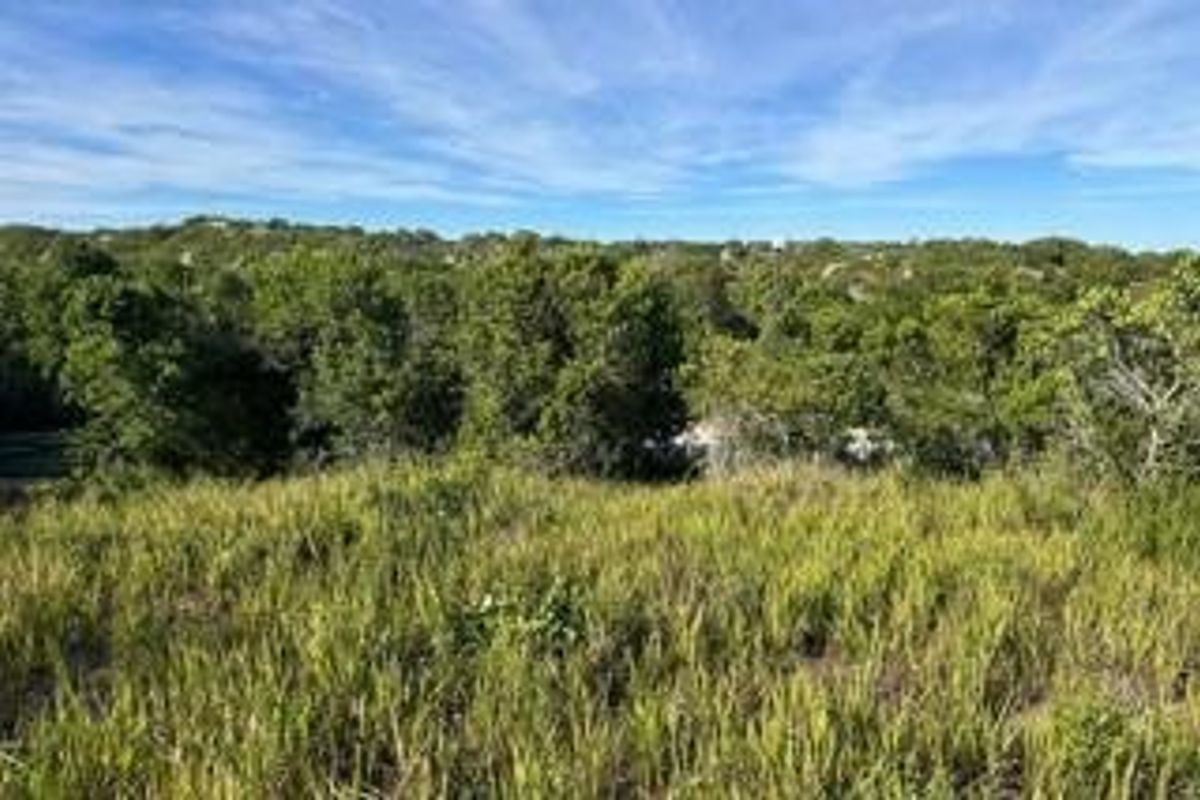 A scenic view of the natural landscape featuring native vegetation and sloped terrain on this vacant residential lot.