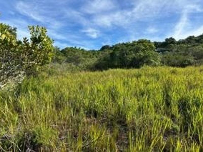 Vacant Land For Sale in Newton Park, Port Elizabeth - Photo 6