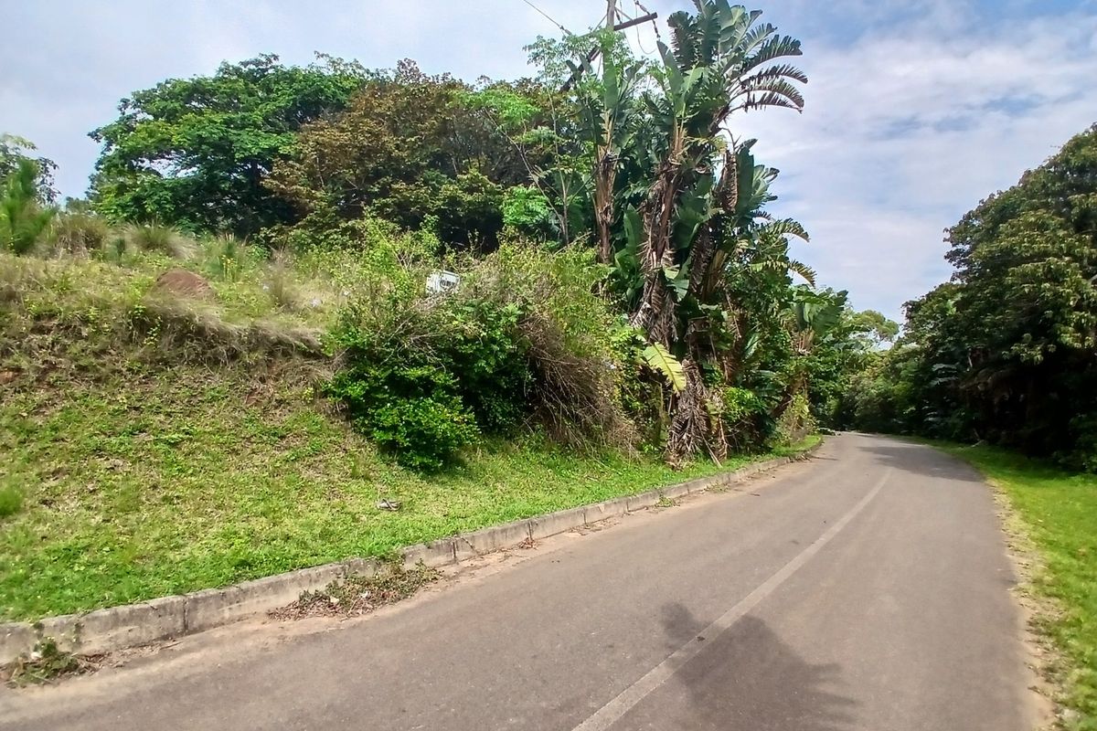 A view of the asphalt street frontage and adjacent verge, featuring established trees, vegetation, and utility infrastructure.