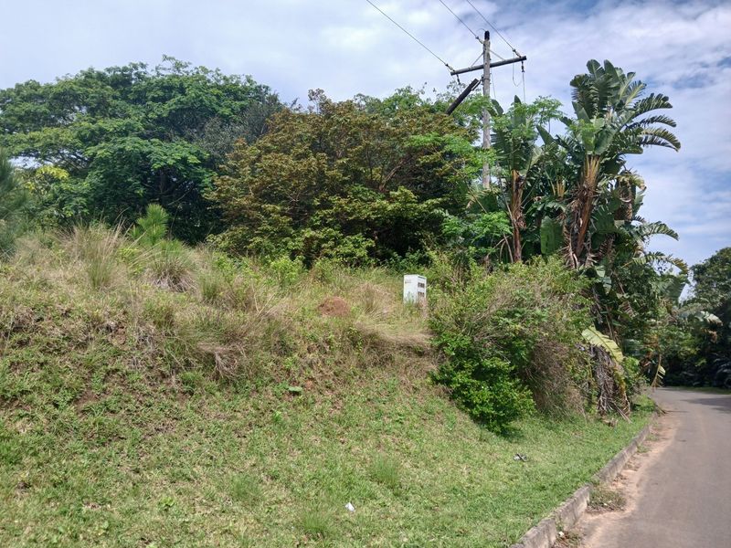 A view of a vacant residential plot featuring a sloped grassy area, mature trees, and existing utility infrastructure along the roadside.