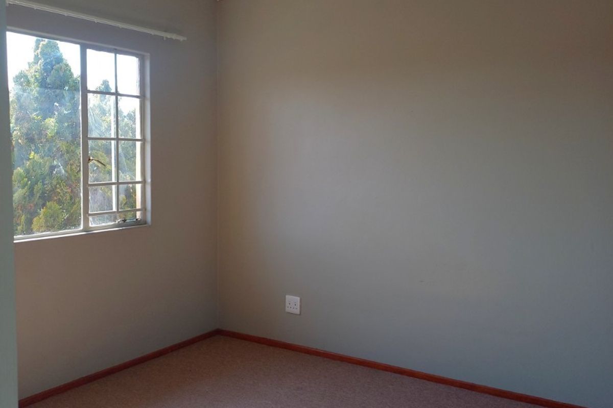 A bright, empty bedroom featuring neutral wall paint, carpeted flooring, and a window that allows for natural light.