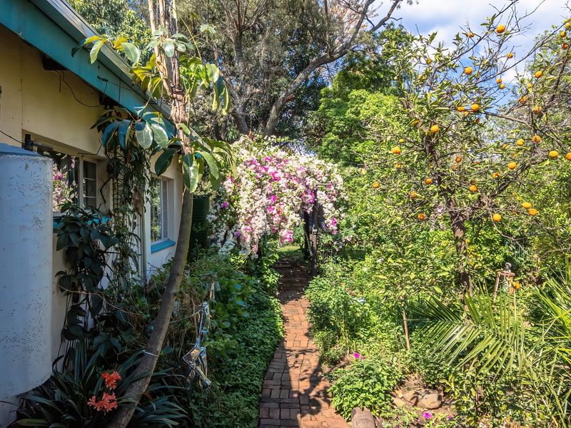A lush, established garden featuring a brick pathway, mature fruit trees, and a vibrant flowering archway alongside the exterior of the home.