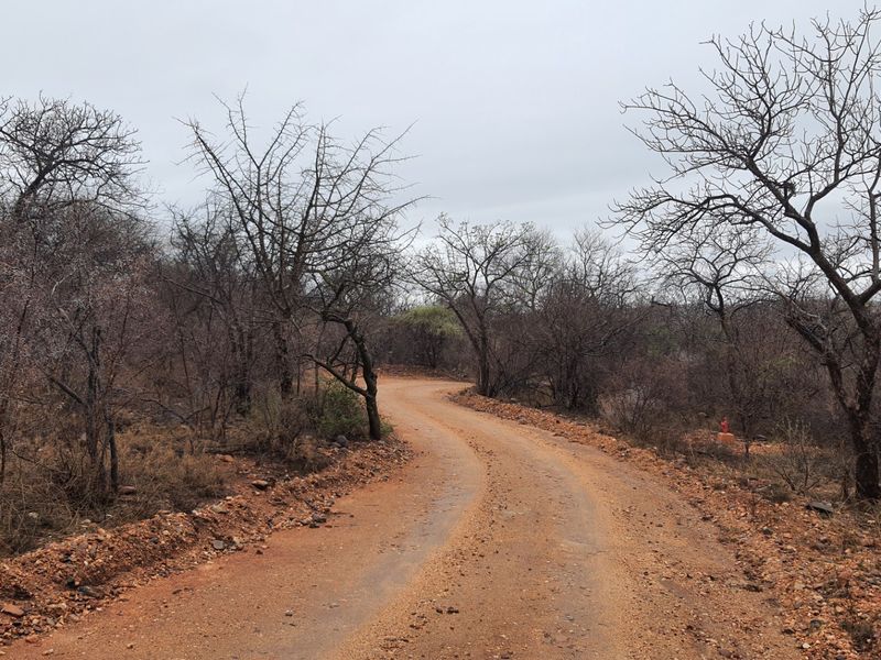 A view of an unpaved access road winding through natural bushveld terrain on the residential property.