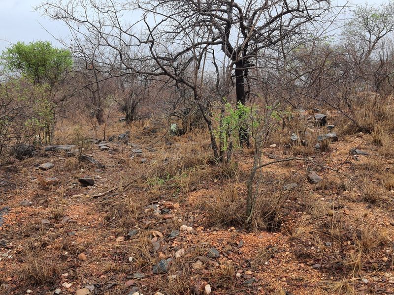 A view of the vacant residential land featuring natural rocky terrain and native bushveld vegetation.