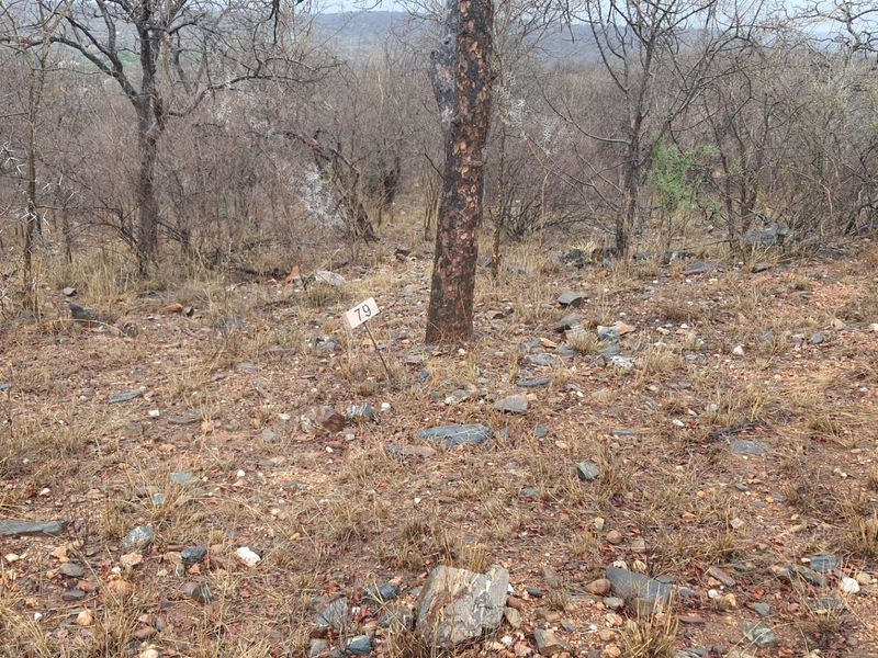 A view of a vacant residential plot featuring natural bushveld vegetation and rocky terrain, marked with plot number 79.