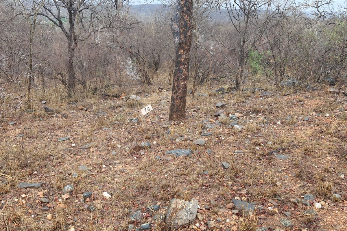 A view of a vacant residential plot featuring natural bushveld vegetation and rocky terrain, marked with plot number 79.