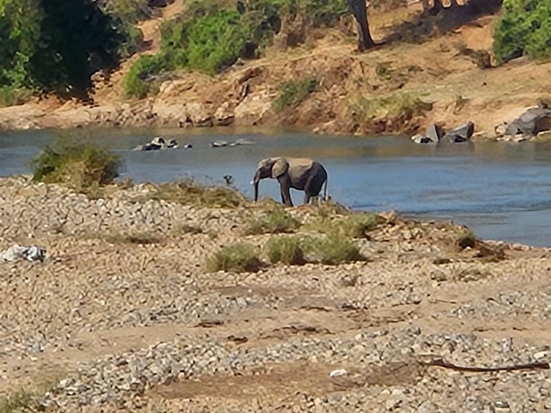 A natural landscape view featuring a riverbank and wildlife, showcasing the scenic surroundings of the property.