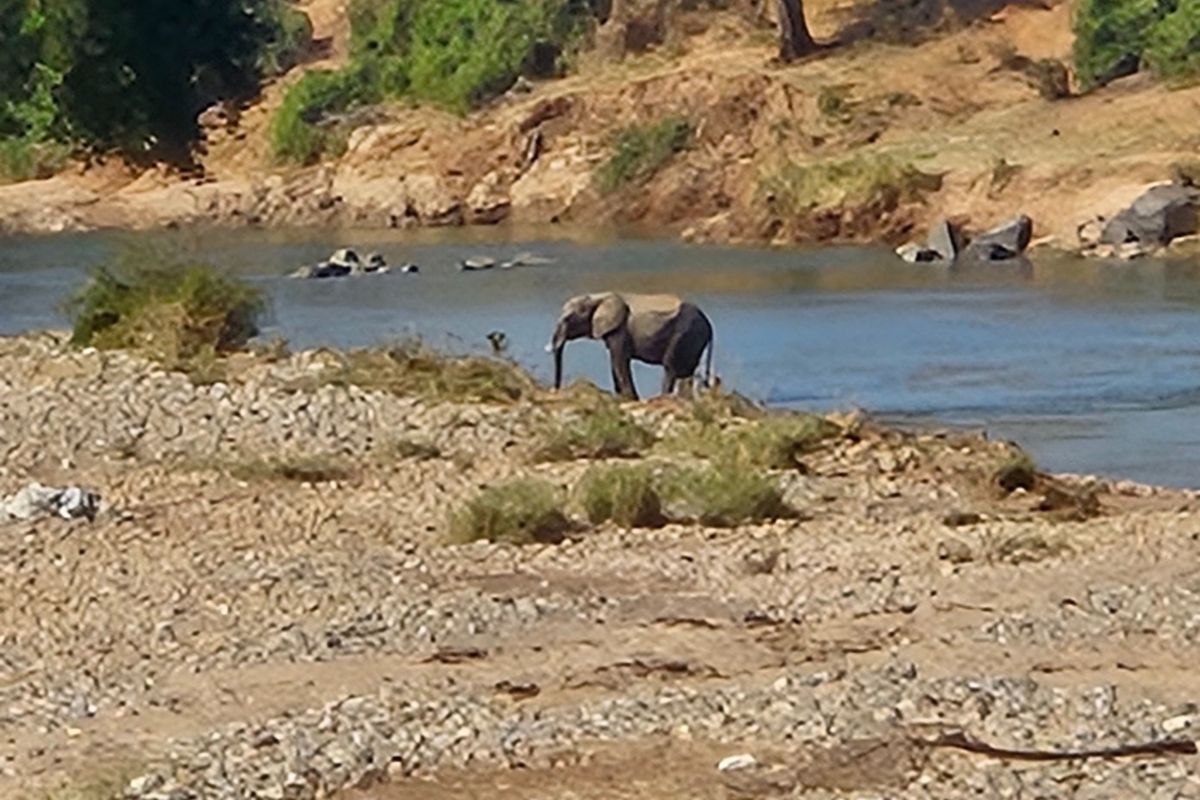 A natural landscape view featuring a riverbank and wildlife, showcasing the scenic surroundings of the property.