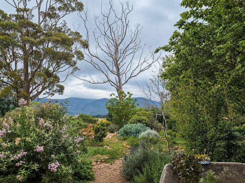 A scenic view of a lush, established garden featuring mature trees and diverse plantings, set against a backdrop of distant mountains.