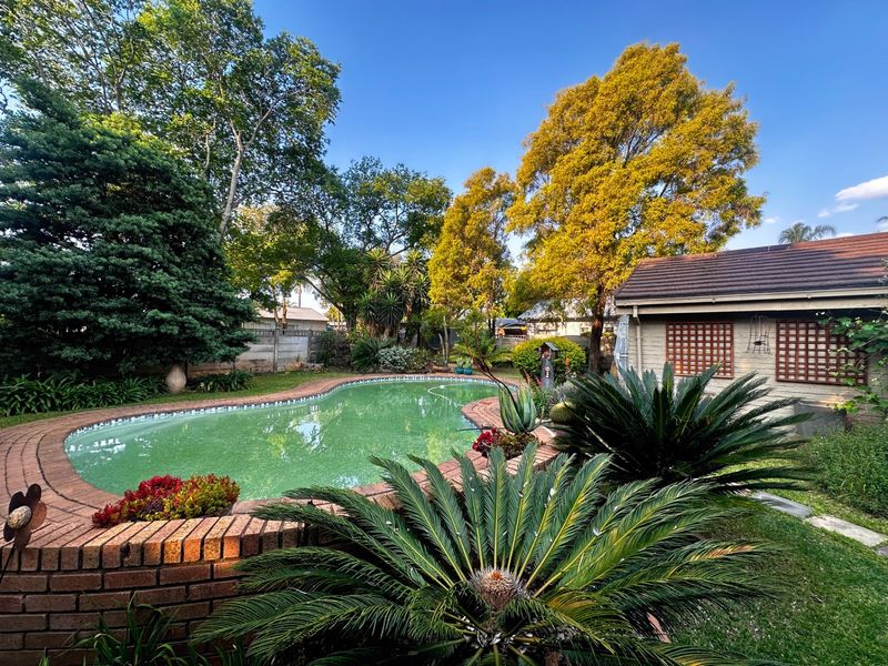 A landscaped backyard featuring a curved swimming pool with brick coping, surrounded by mature trees and established garden beds.