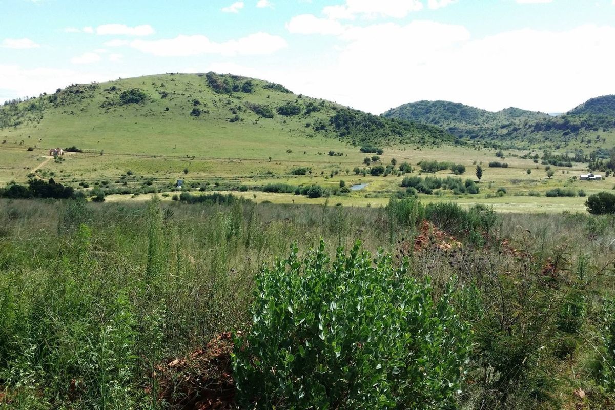 A scenic landscape view featuring rolling green hills and natural vegetation, showcasing the expansive rural surroundings of the property.