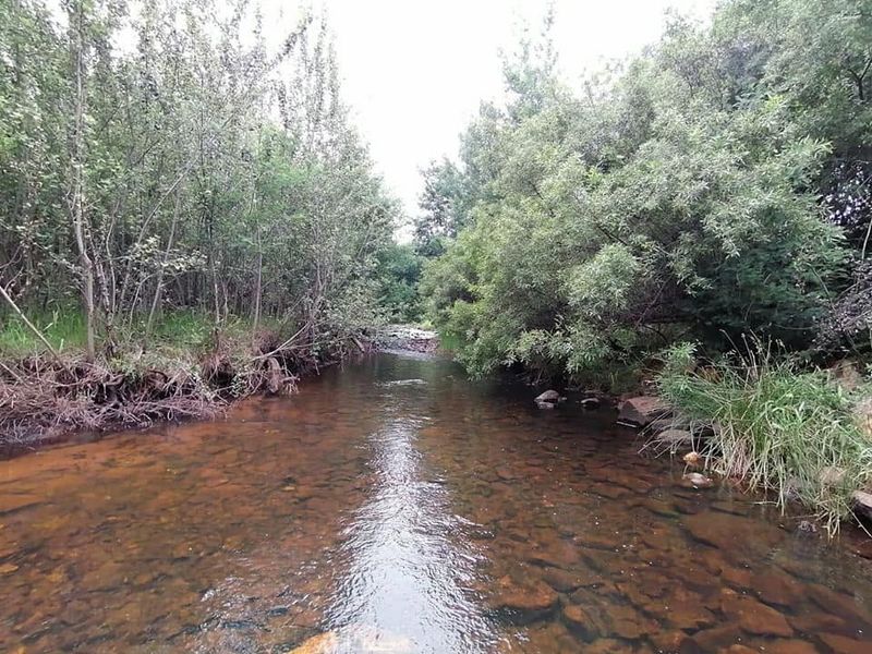 229-Hectare Country Estate Development for Sale near Belfast - Photo 4