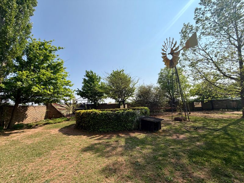 A spacious garden area featuring a traditional metal windmill, established trees, and a stone-walled garden bed enclosed by a brick boundary wall.