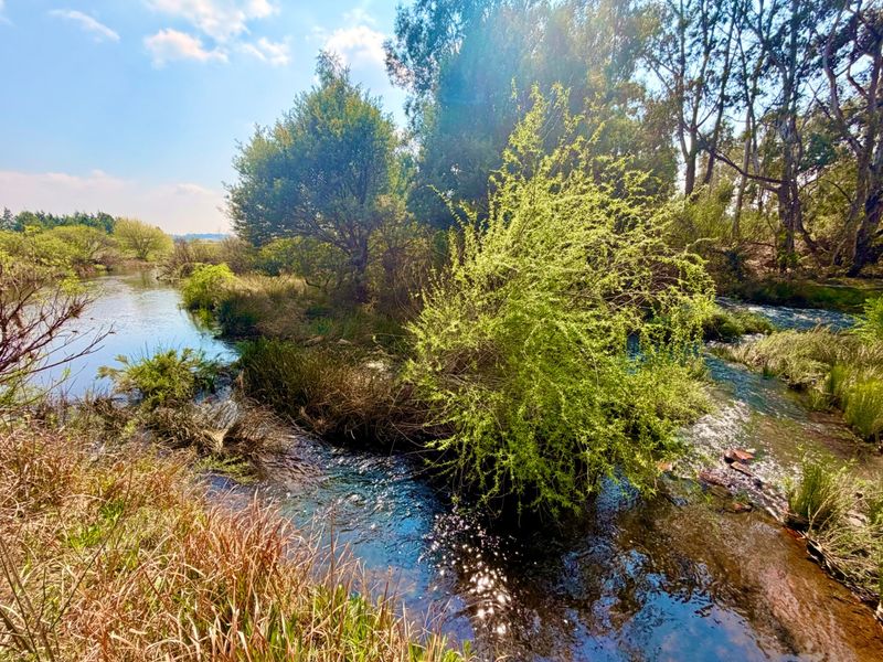 A scenic view of a natural stream flowing through lush riparian vegetation on the small holding property.